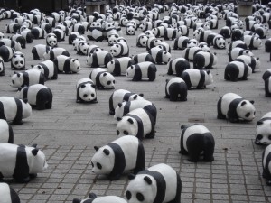 pandas-656890_1920